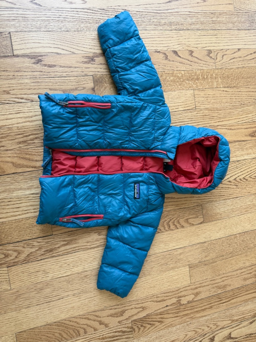 Patagonia Red Hooded Puffer Jacket